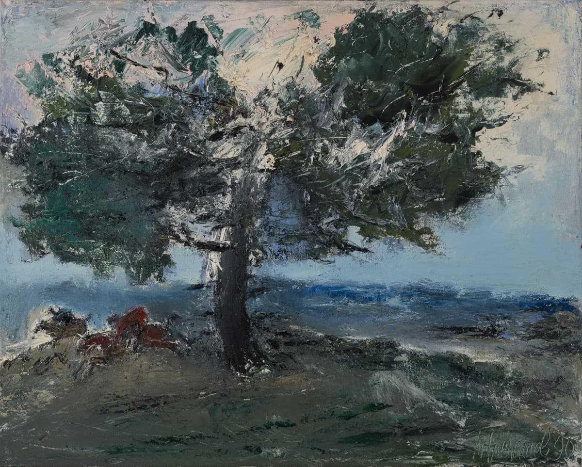 Дорога в лесу