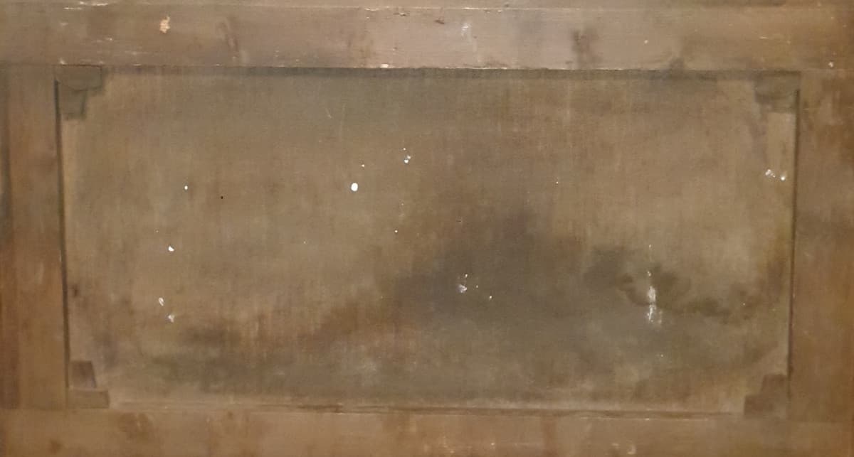 Цветущие клумбы на приусадебном участке