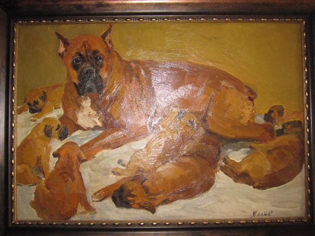 Елана со щенками