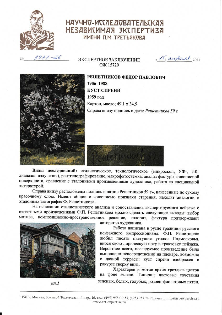 Куст сирени