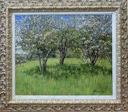 Яблони в цвету