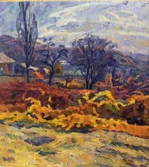 Полдень. Виноградники