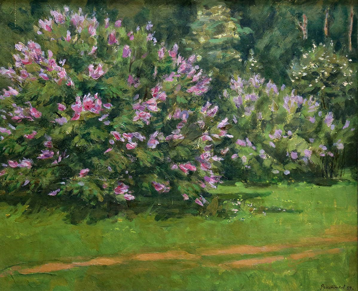 Сирень