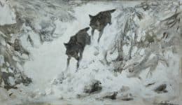 Волки в заснеженном лесу