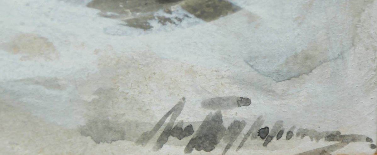 Волки в заснеженном лесу