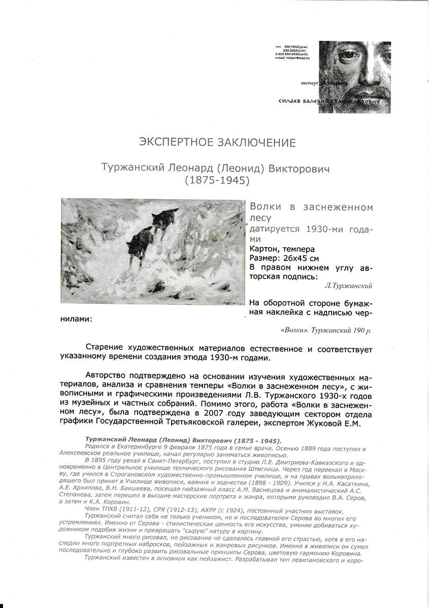 Волки в заснеженном лесу