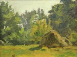 Стог сена. Суханово