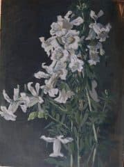 Цветы табака