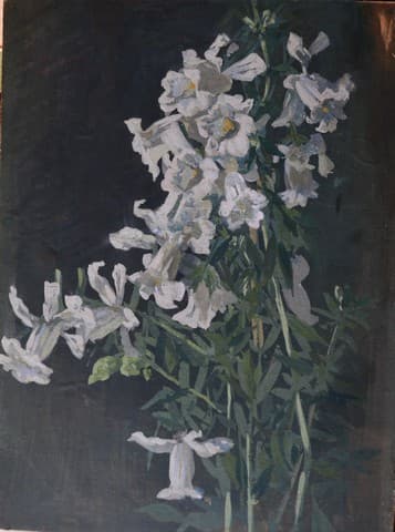 Цветы табака