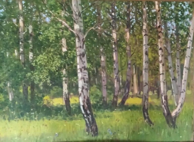 Березы летом