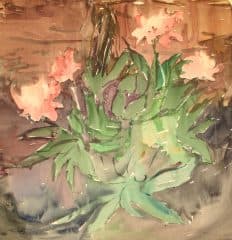 Розовые цветы