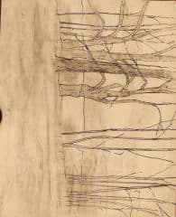 Деревья. Контуры