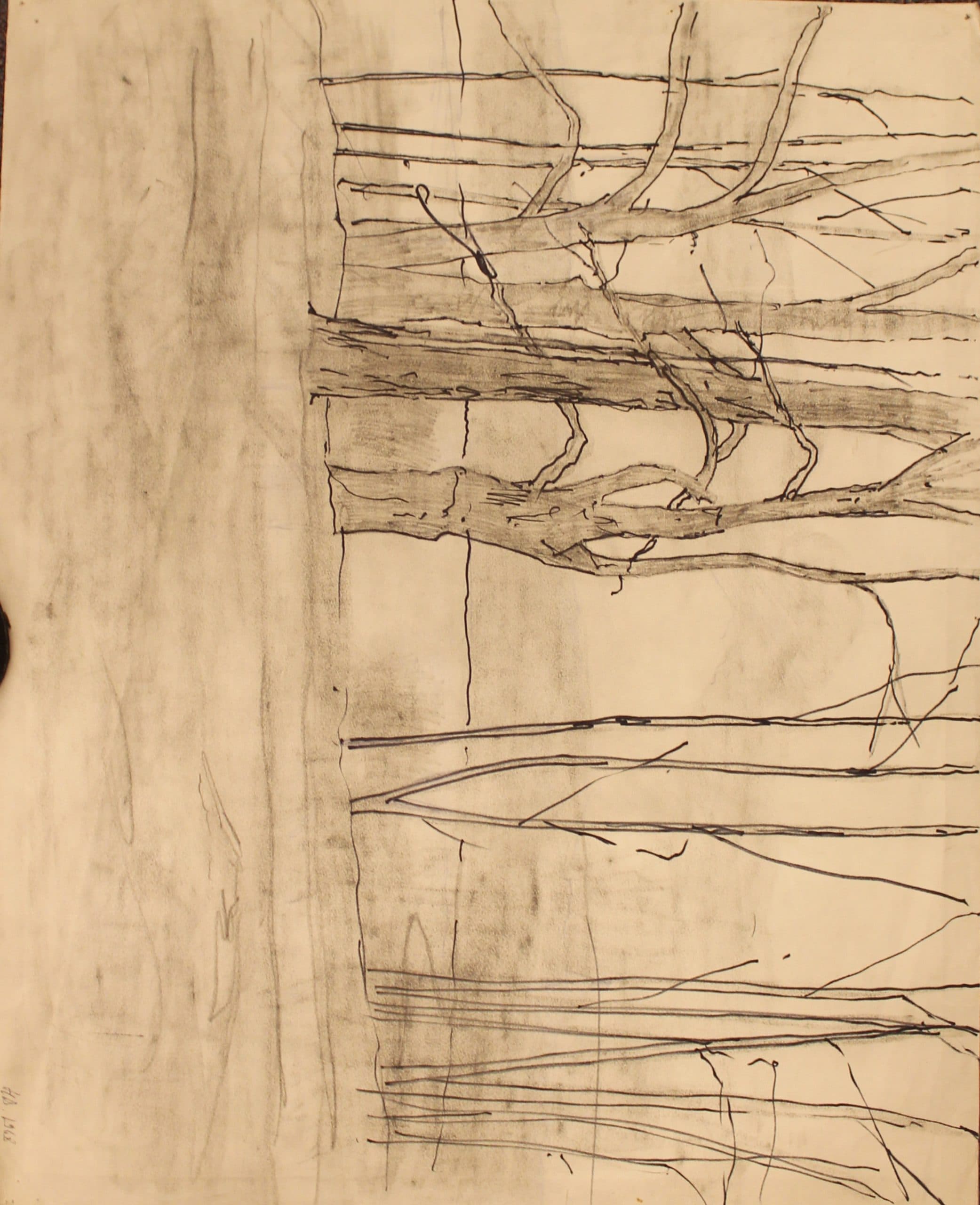 Деревья. Контуры