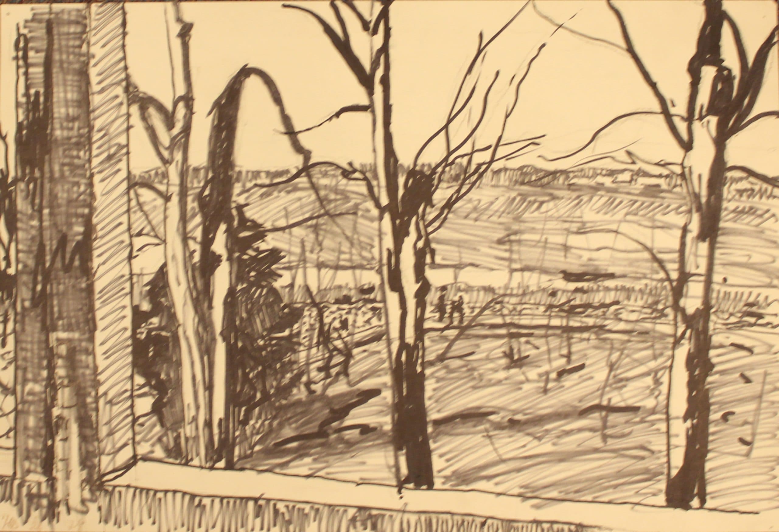 Дерево. Вид из окна