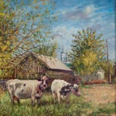 Белоомутские коровы