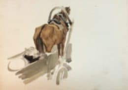 Лошадь. Эскиз