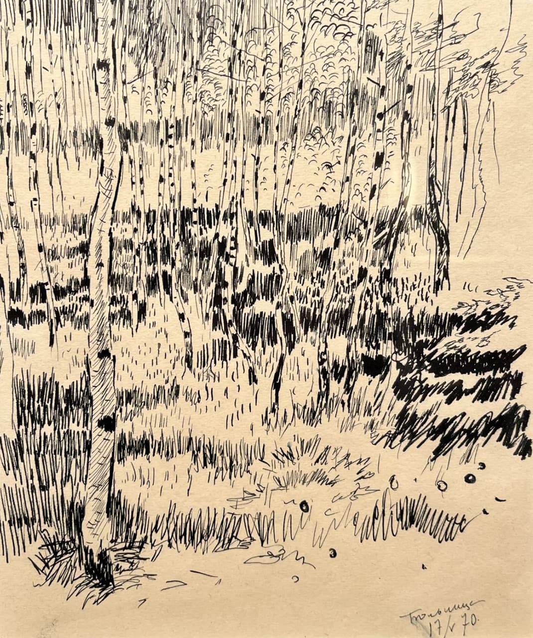 Березки