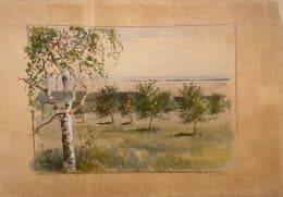 Летний пейзаж