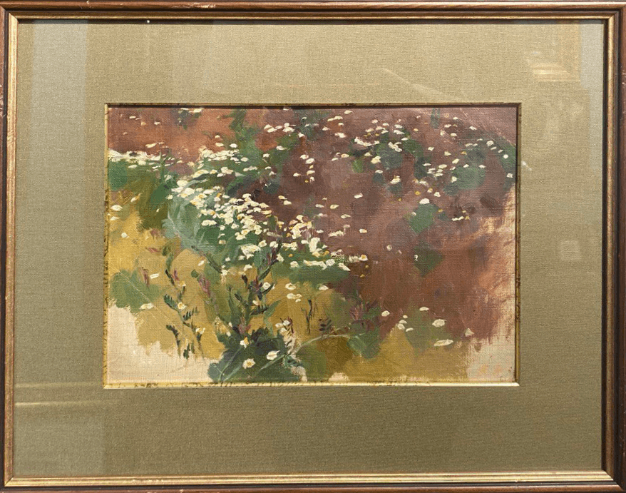 Полевые ромашки