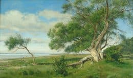 Пейзаж с деревом