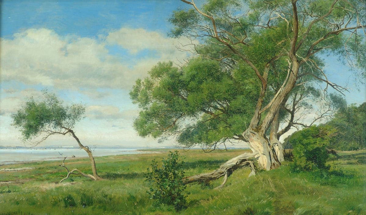 Пейзаж с деревом