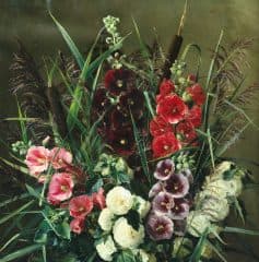 Мальвы и камыши