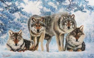 Вольные сыны леса