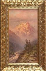 Вид двух сосен на фоне гор