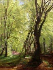 Лесной пейзаж