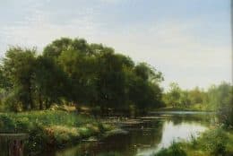 Заводь в лесу