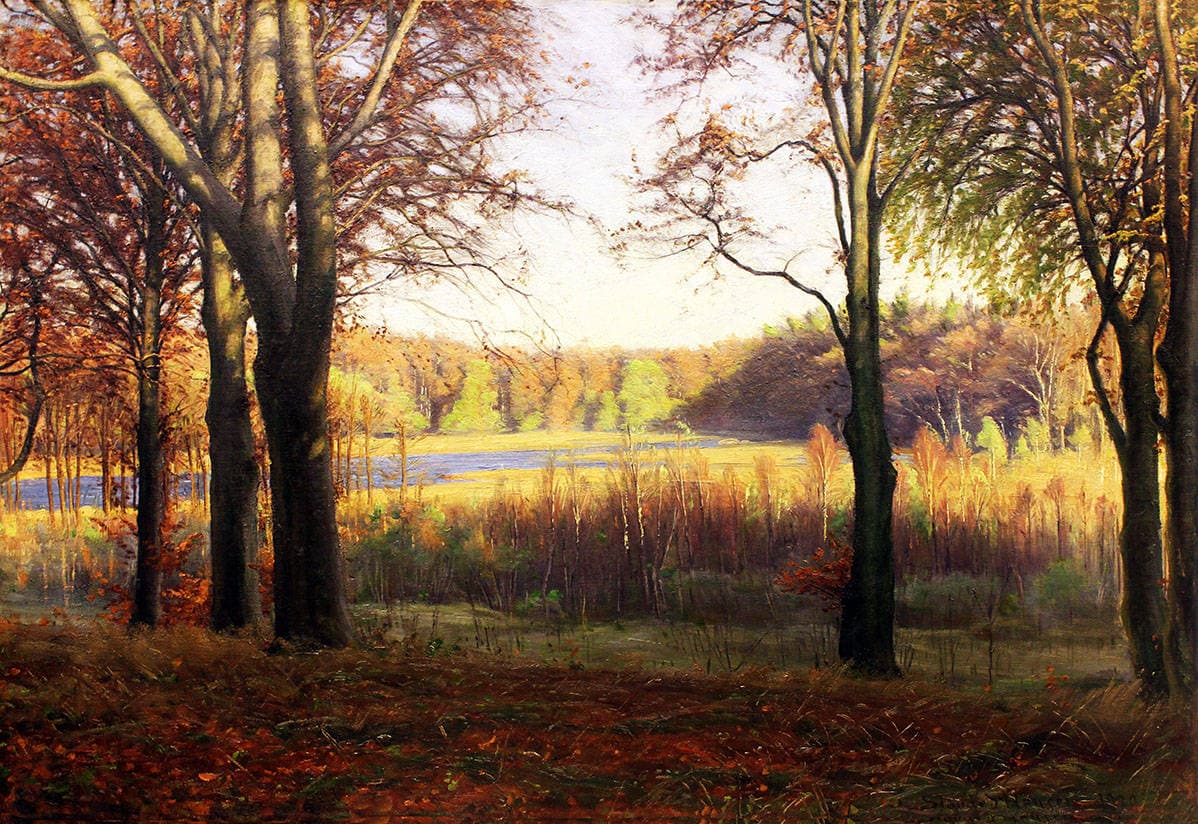 Осенний лес