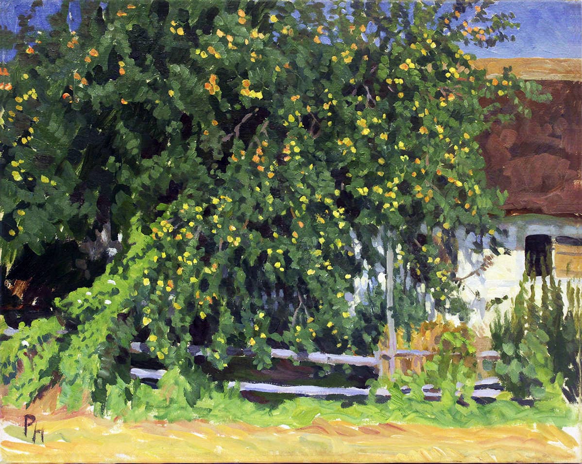 Домик в саду