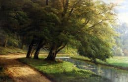 Дорога в лесу