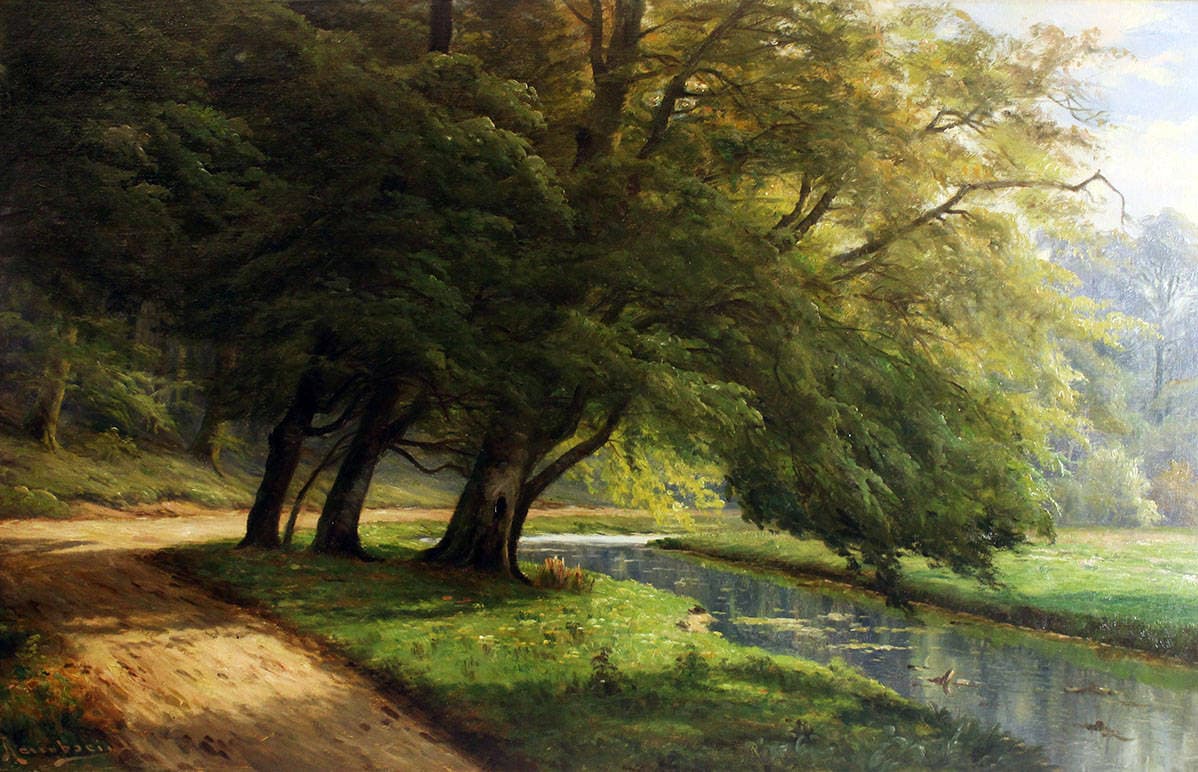 Дорога в лесу