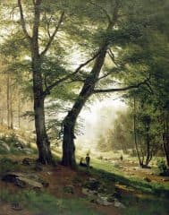 Дети на поляне