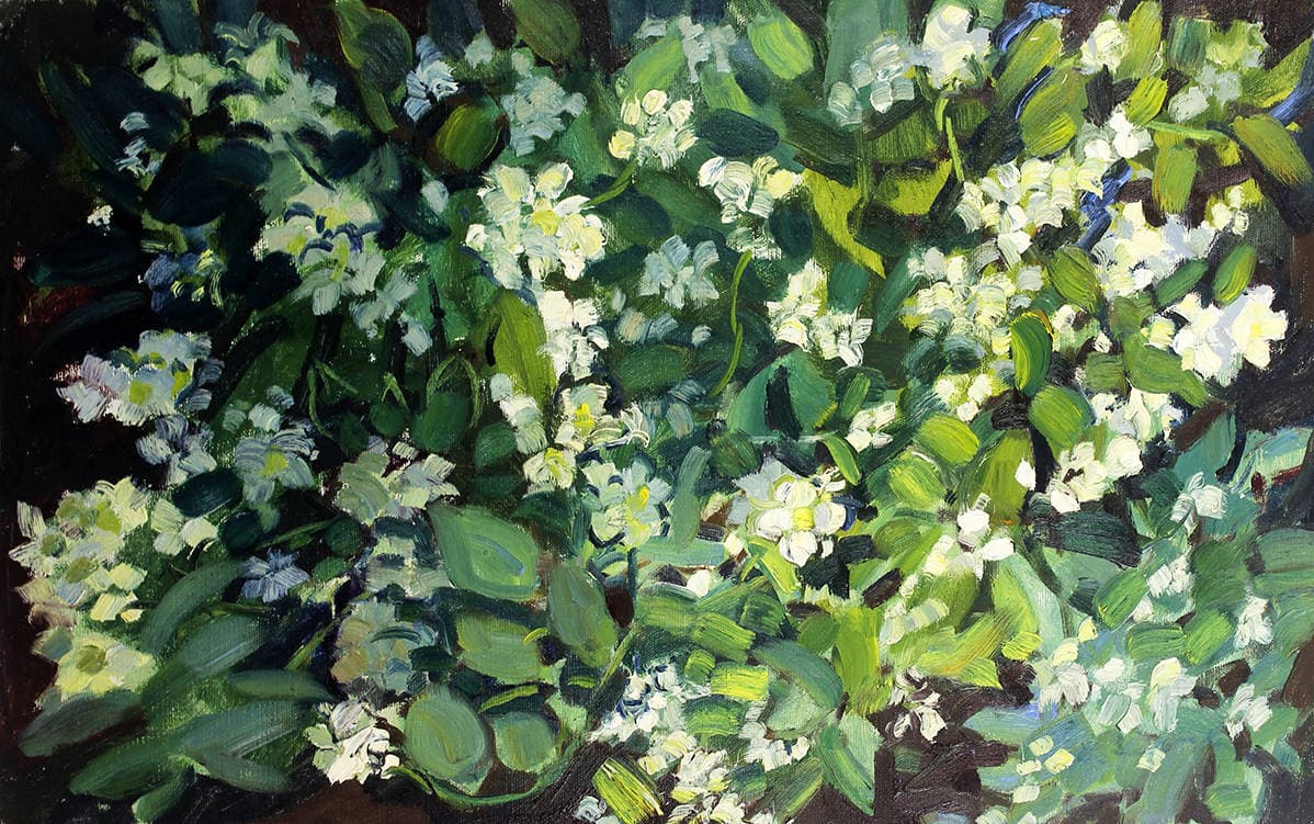 Букет жасмина