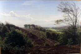 Летний день в Дирехавене