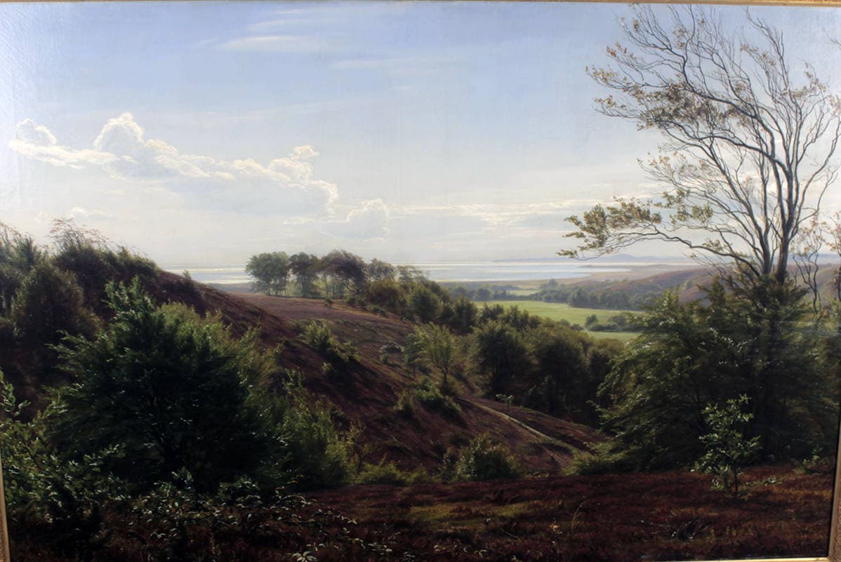 Летний день в Дирехавене