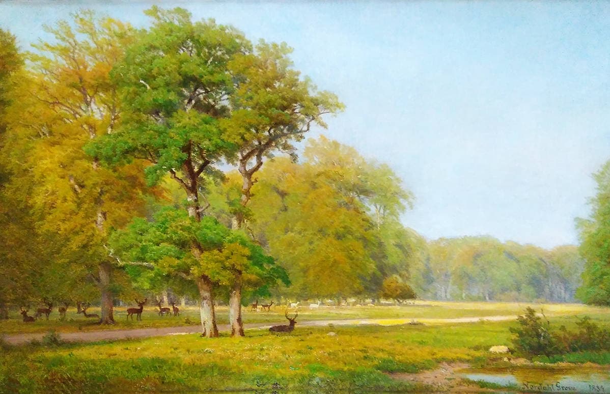 В оленьем парке