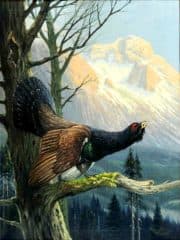 Токующий глухарь на фоне горного пейзажа