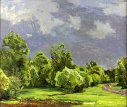 Перед грозой