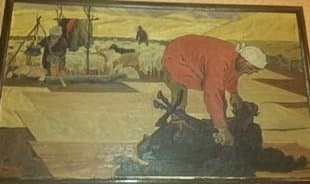 В горах. стрижка овец