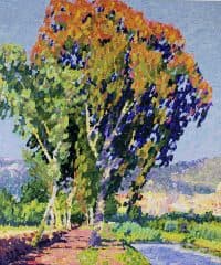 Аллея в Италии