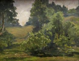 Лесной пейзаж