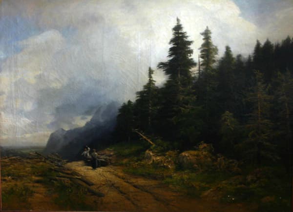 Заготовка дров