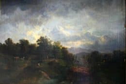 Деревья на холмах