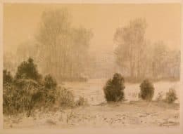 Лесная опушка