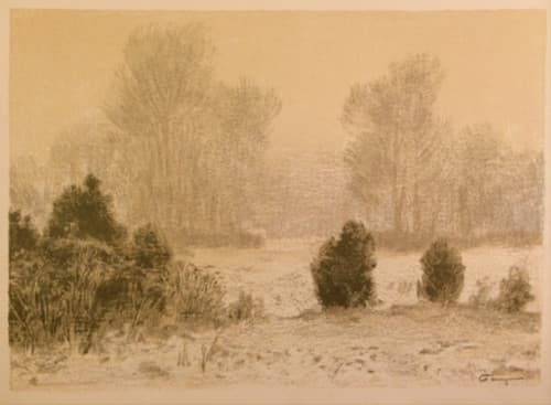 Лесная опушка