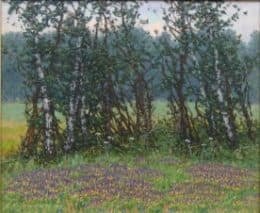 Иван-да-Марья