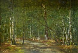 Лесная дорога